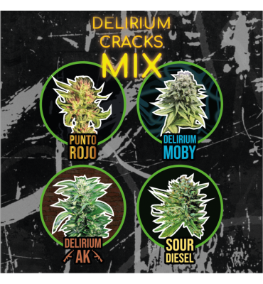 DELIRIUM SEEDS "MIX DELIRIUM CRACK" FASTVERSION 4UDS