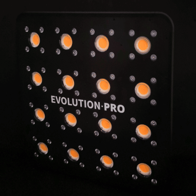 APOLLO EVOLUTION PRO 16 480W (Entrega diferida)