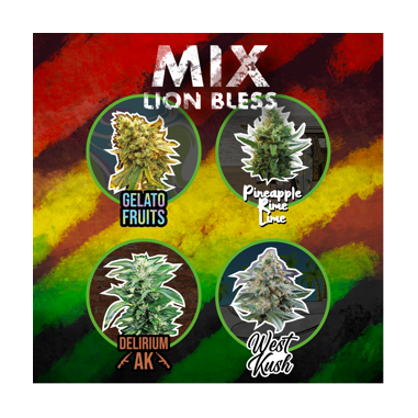 MIX LION BLESS AUTO X4-DELIRIUM SEEDS